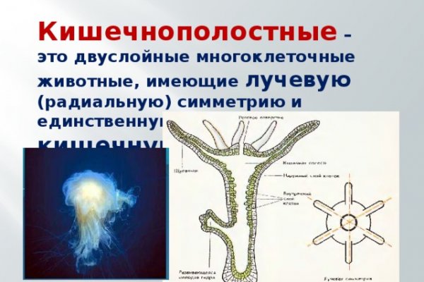 Кракен современный маркетплейс