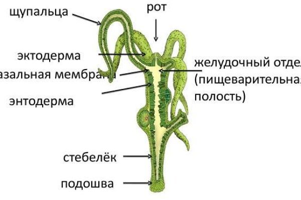 Украли аккаунт кракен