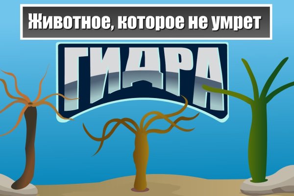 Кракен современный даркнет маркетплейс