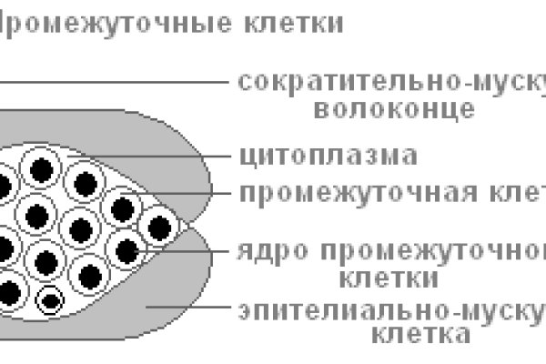 Актуальный домен кракена