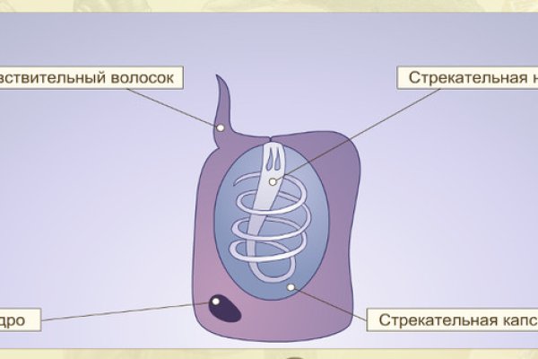 Наркосайт кракен