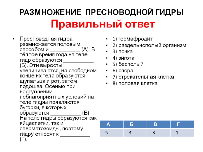 Kraken 12 at что это