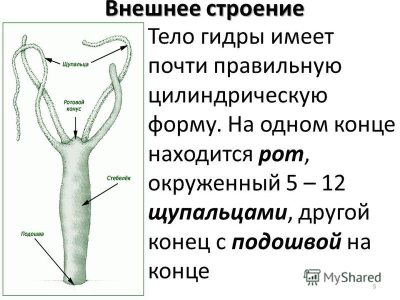 Kraken ссылка зеркало официальный